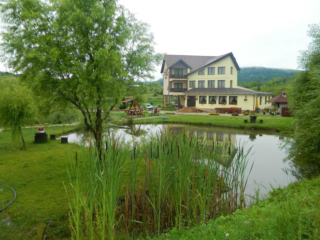 Pensiunea Violeta Saschiz Exterior foto