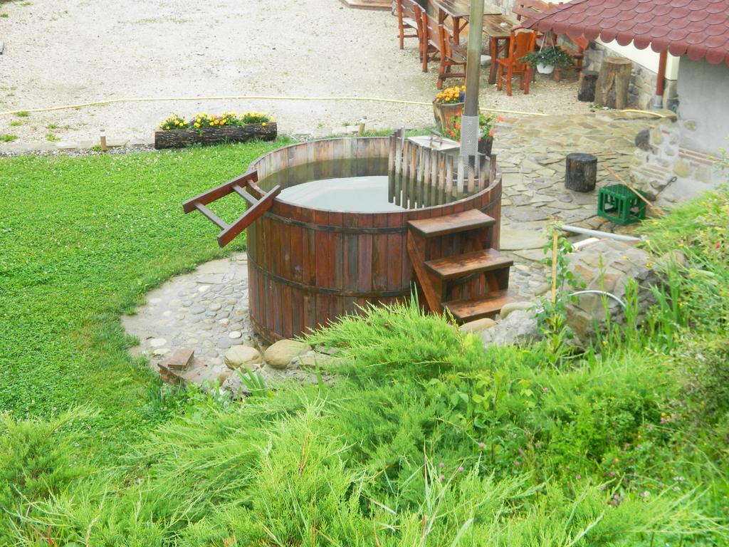Pensiunea Violeta Saschiz Exterior foto