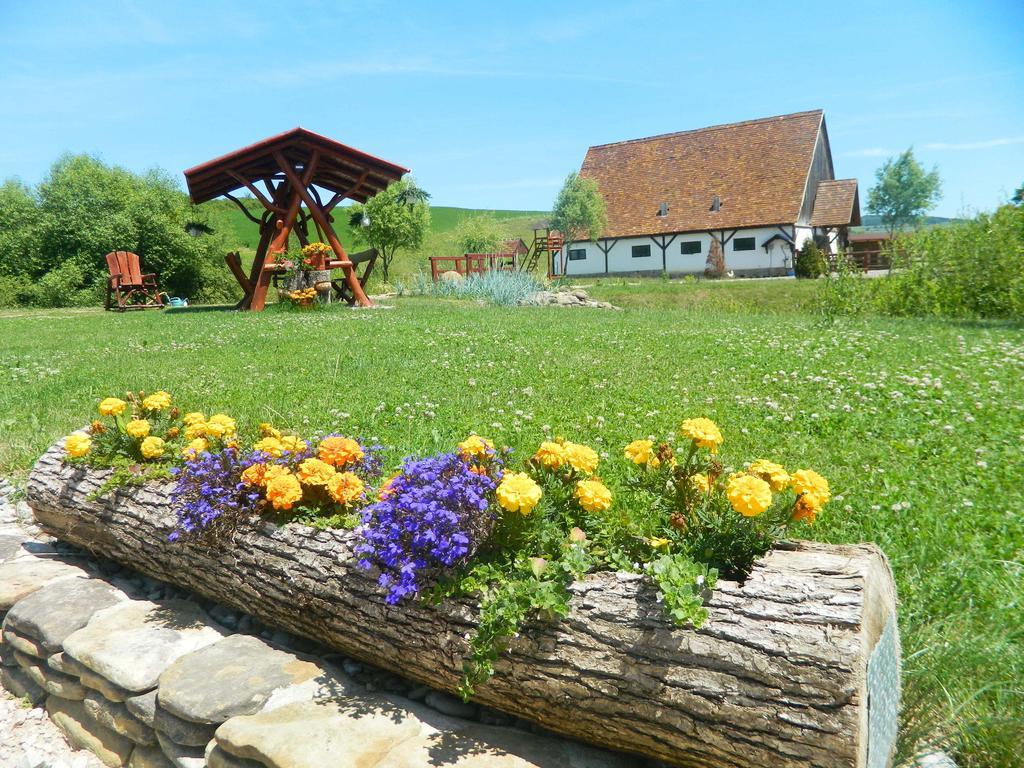 Pensiunea Violeta Saschiz Exterior foto