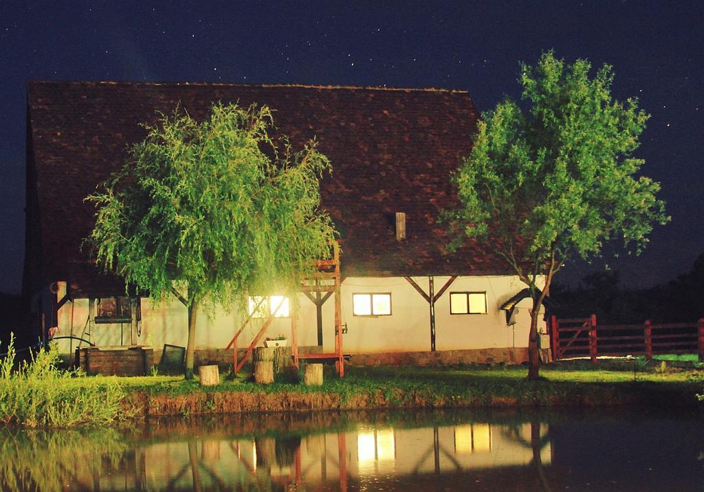 Pensiunea Violeta Saschiz Exterior foto