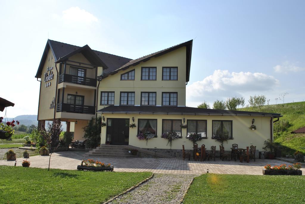 Pensiunea Violeta Saschiz Exterior foto
