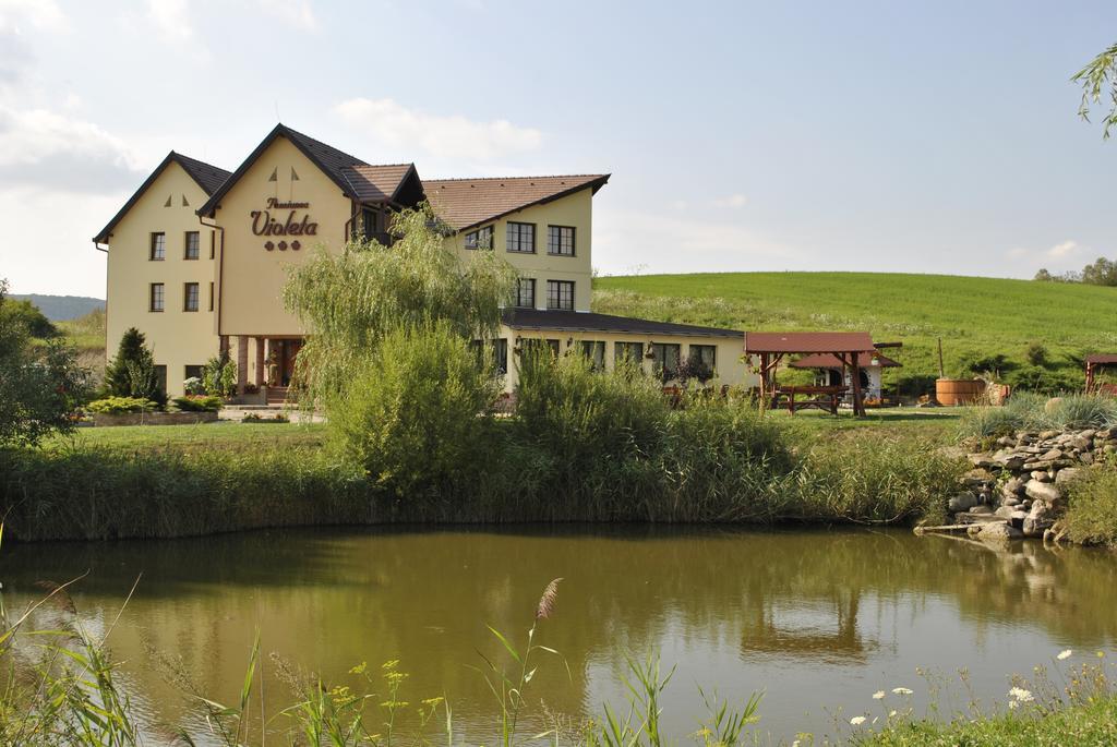Pensiunea Violeta Saschiz Exterior foto
