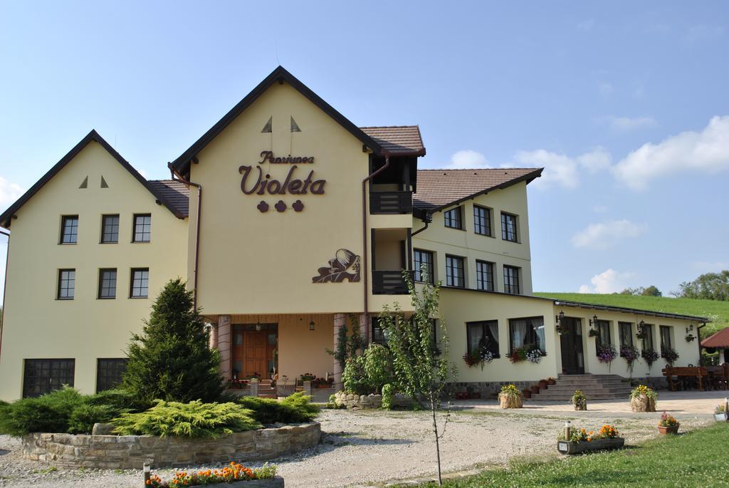 Pensiunea Violeta Saschiz Exterior foto
