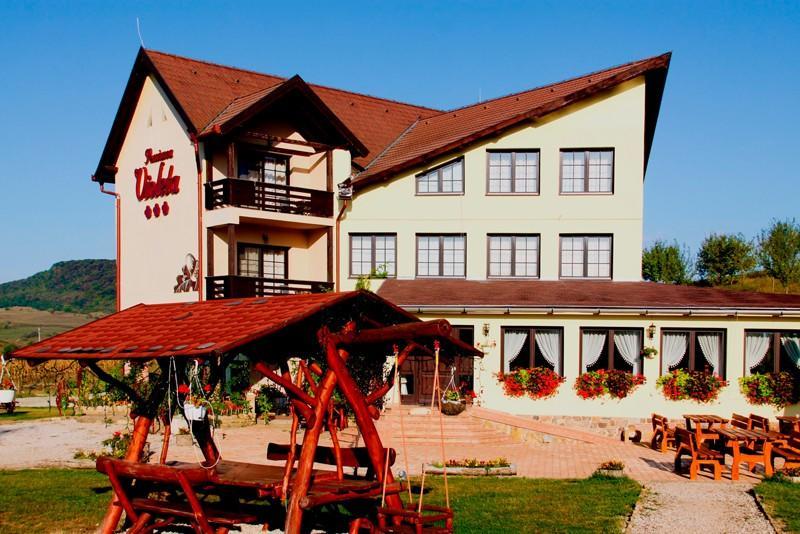Pensiunea Violeta Saschiz Exterior foto