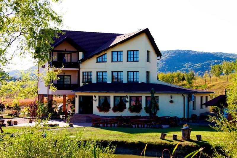 Pensiunea Violeta Saschiz Exterior foto